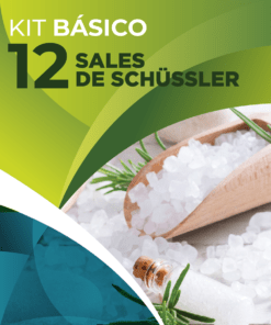 Kit de 12 Sales Básico