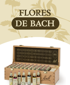Flores de Bach