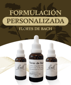 Formulación