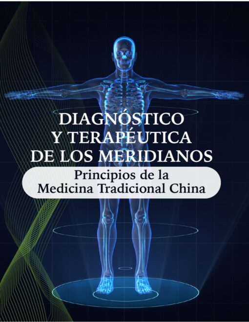 Diagnostico y Terapéutica de los Meridianos y los Principios de la Medicina Tradicional China - Parte 3 de 3 (Mes Febrero 2023)