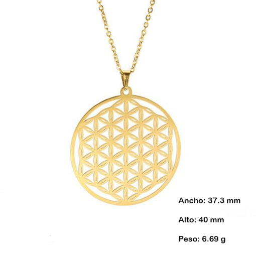 Flor de la Vida Chapa de Oro