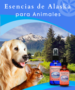 Animales