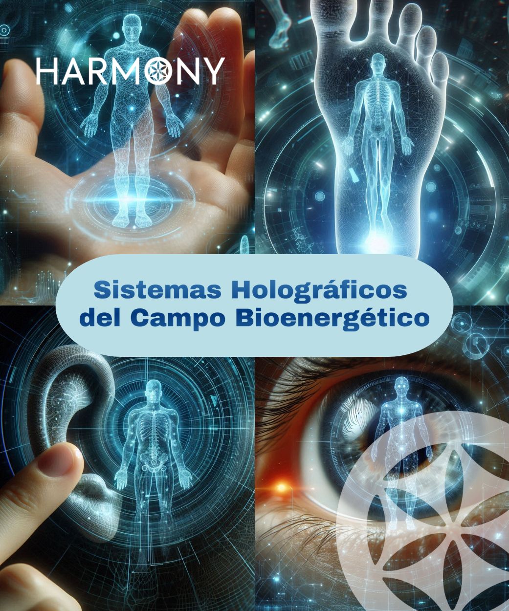 Sistemas Holográficos del Campo Bioenergético3