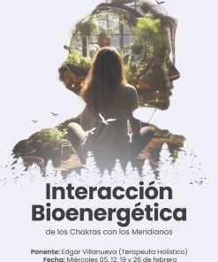 Interacción Bionergética de los Chakras con los Meridianos