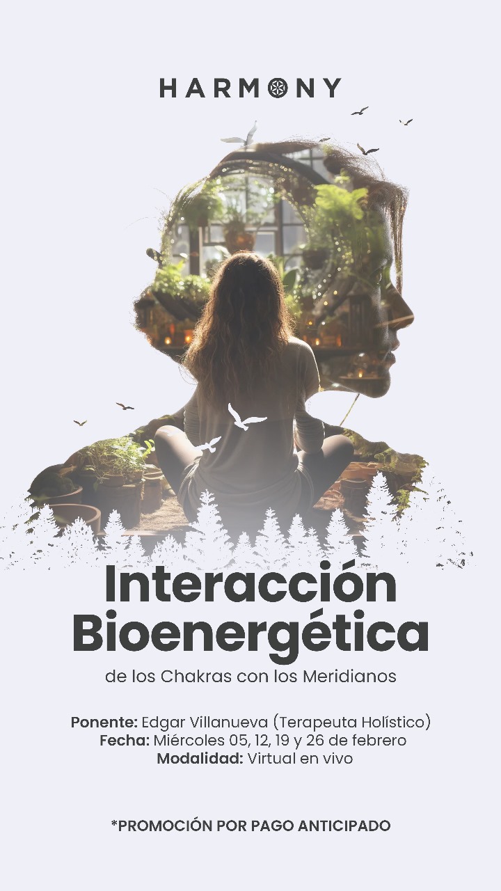 Interacción Bionergética de los Chakras con los Meridianos1-1