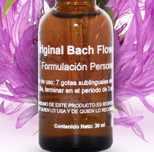 Formulacion Flores de Bach - Imagen 2