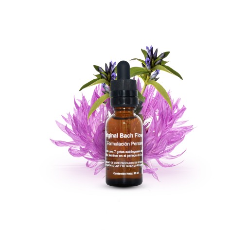 Formulacion Flores de Bach - Imagen 4